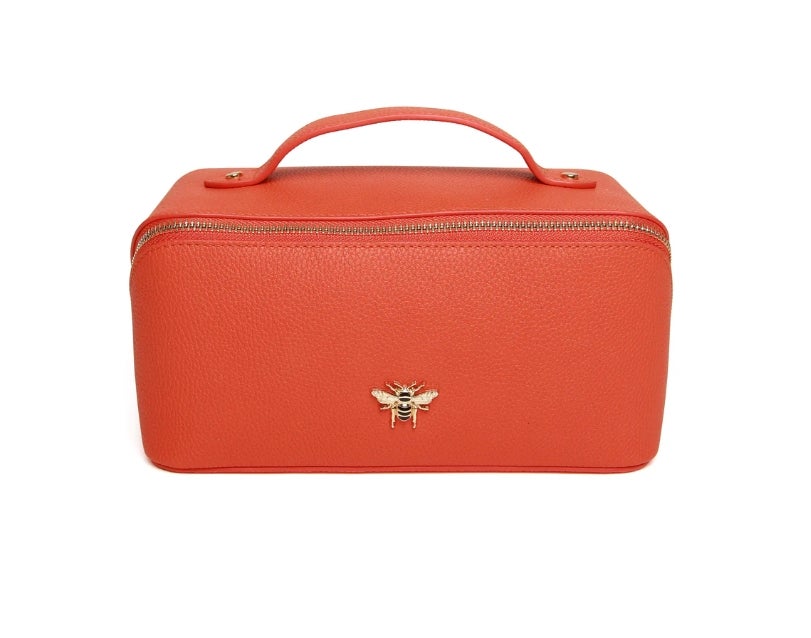 alice-w-train-case-orange-0241-the-blue-egg